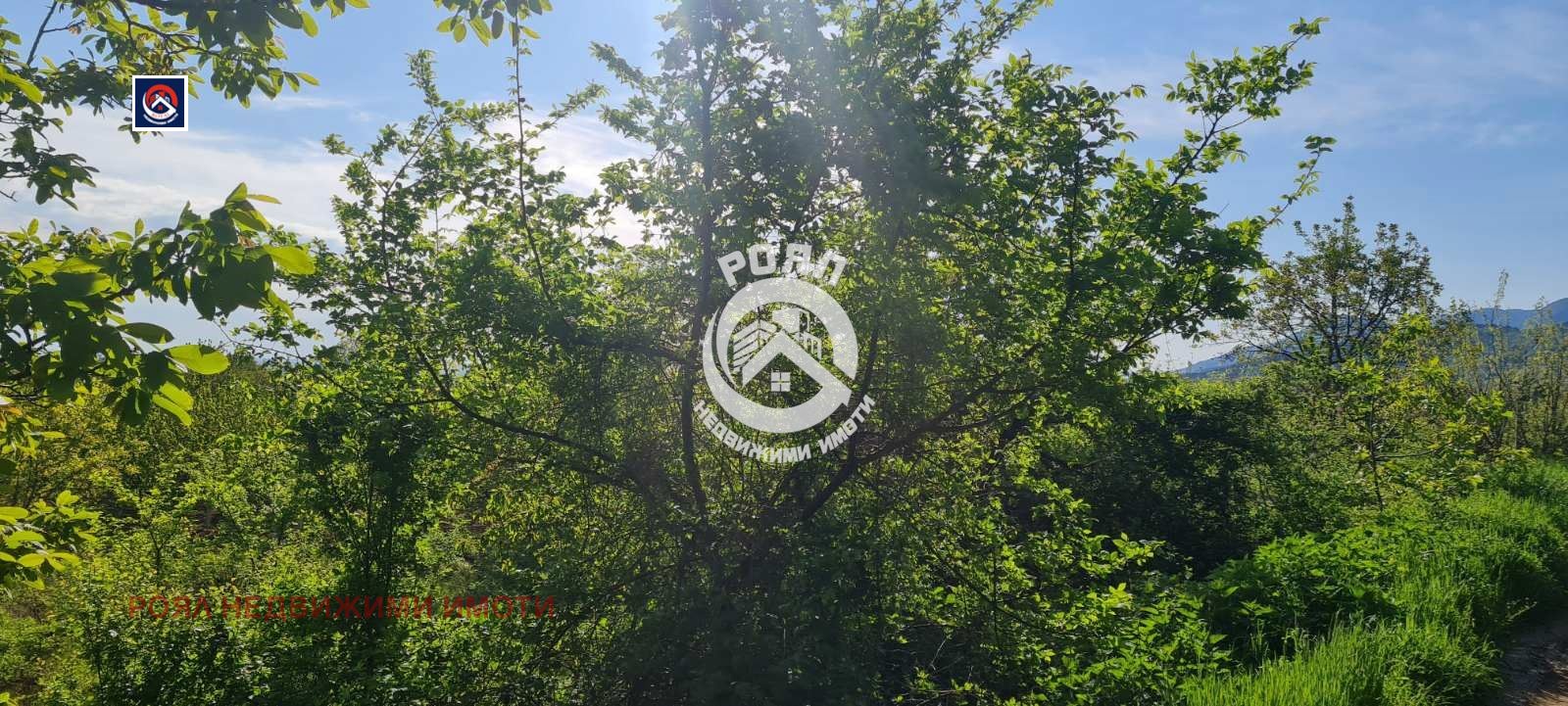 ������� ������ | Imot.bg � ����������� 8