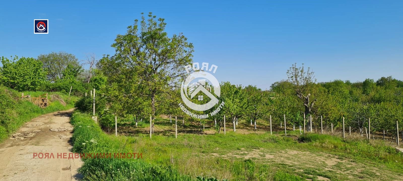 ������� ������ | Imot.bg � ����������� 5