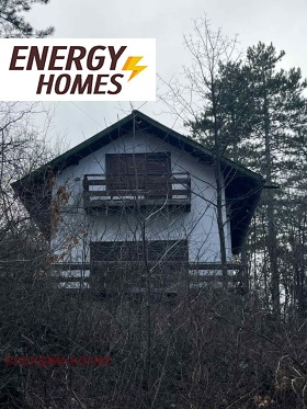 ����� ������� ����,���� �����, �������