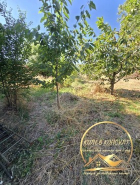 ������� ������ | Imot.bg � ����� ������ 2