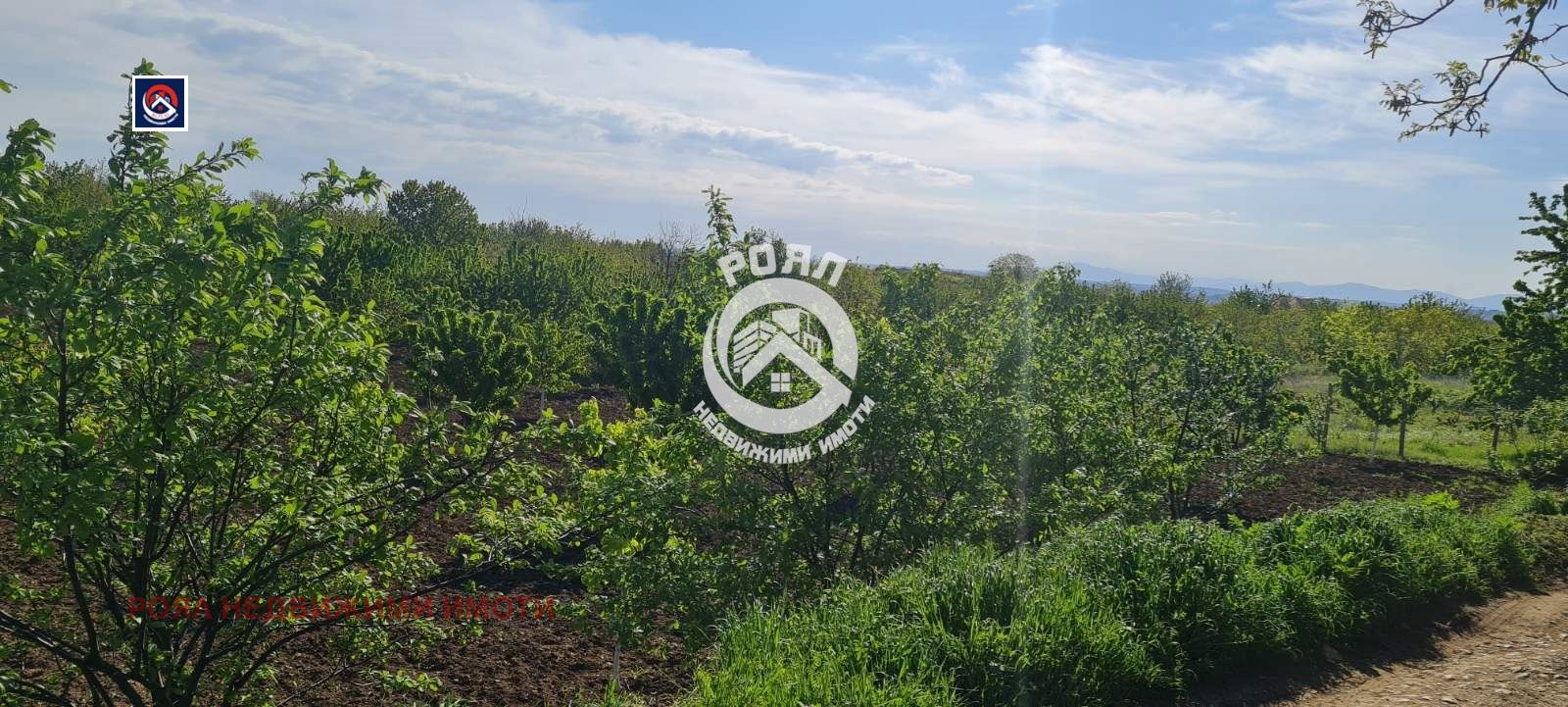 Продава ПАРЦЕЛ, гр. Асеновград, област Пловдив, снимка 2 - Парцели - 53867115