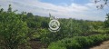 Продава ПАРЦЕЛ, област Пловдив, гр. Асеновград • 55000 € • 50050063 — Holmes.bg