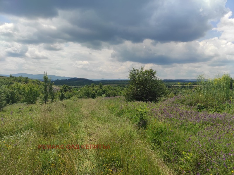 Продава ПАРЦЕЛ в област Велико Търново, гр. Дебелец - 14997 кв.м / 125 000 € » 244 478.75 лв., РЕМАКС ОЛД КЕПИТЪЛ