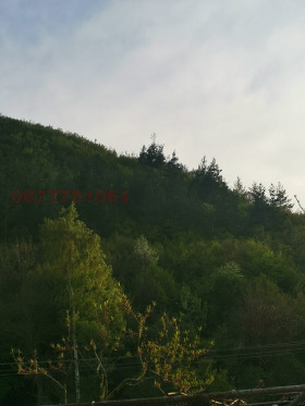 ������� ������ | Imot.bg � ����� ������ 7