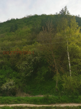 ������� ������ | Imot.bg � ����� ������ 13