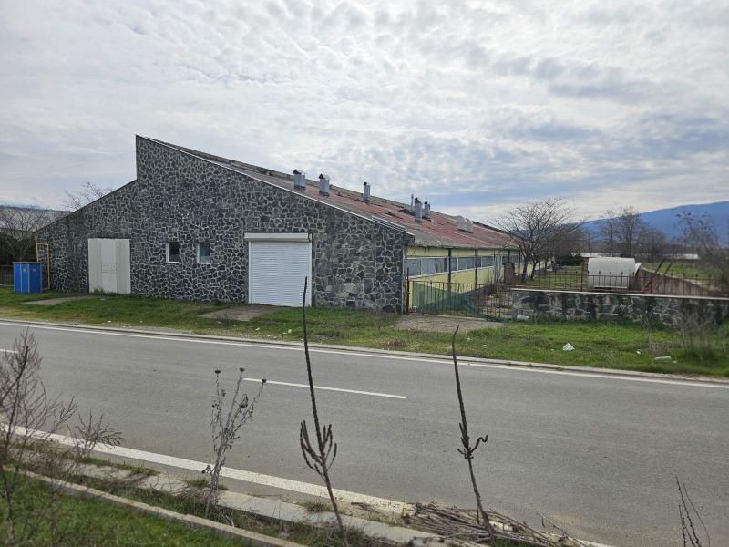 Продава ПРОМ. ПОМЕЩЕНИЕ, гр. Петрич, област Благоевград, снимка 4 - Производствени сгради - 53413031