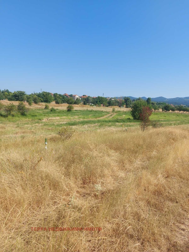 Na sprzedaż  Działka Sofia , Podgumer , 1588 mkw | 91481456