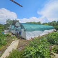 Продава КЪЩА, с. Горна Митрополия, област Плевен, снимка 16