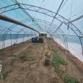 Продава  Къща област Плевен , с. Горна Митрополия , 110 кв.м | 82976969 - изображение [17]