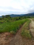 Продава ПАРЦЕЛ, област Пловдив, с. Марково • 34000 € • 50367755 — Holmes.bg