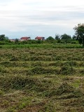 Продава ПАРЦЕЛ, област Пловдив, с. Марково • 34000 € • 50367755 — Holmes.bg