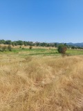 Продава ПАРЦЕЛ, град София, с. Подгумер • 55500 лв. • 84022647 — Holmes.bg