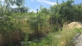 Продава  Парцел област Бургас , с. Медово , 940 кв.м | 49463219 - изображение [7]