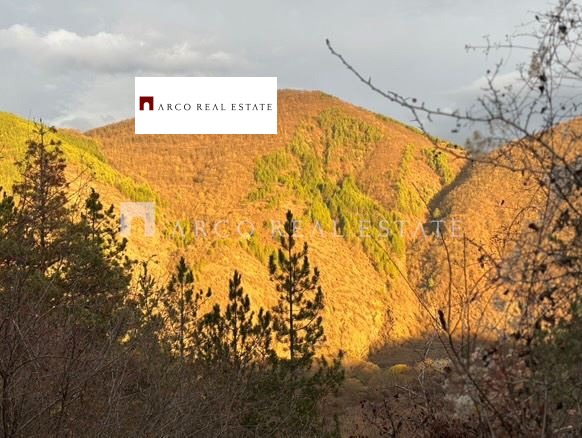 ������� ������ | Imot.bg � ����������� 13