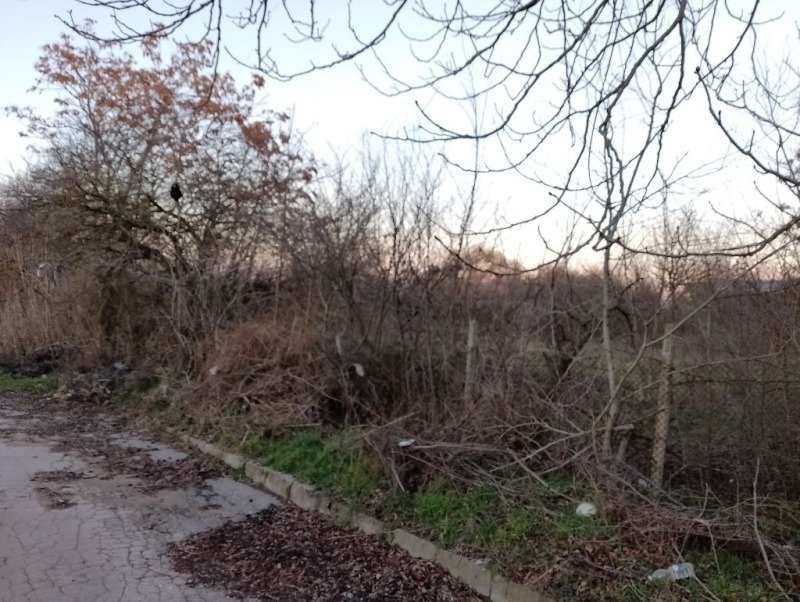 Zu verkaufen  Handlung region Varna , Tscherwenzi , 2000 qm | 19558656