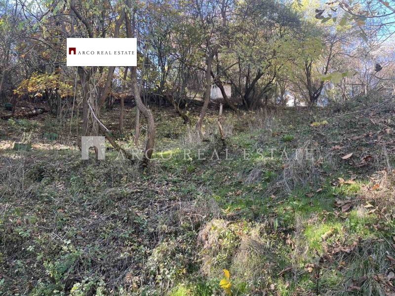 Продава ПАРЦЕЛ, с. Владо Тричков, област София област, снимка 5 - Парцели - 52524905