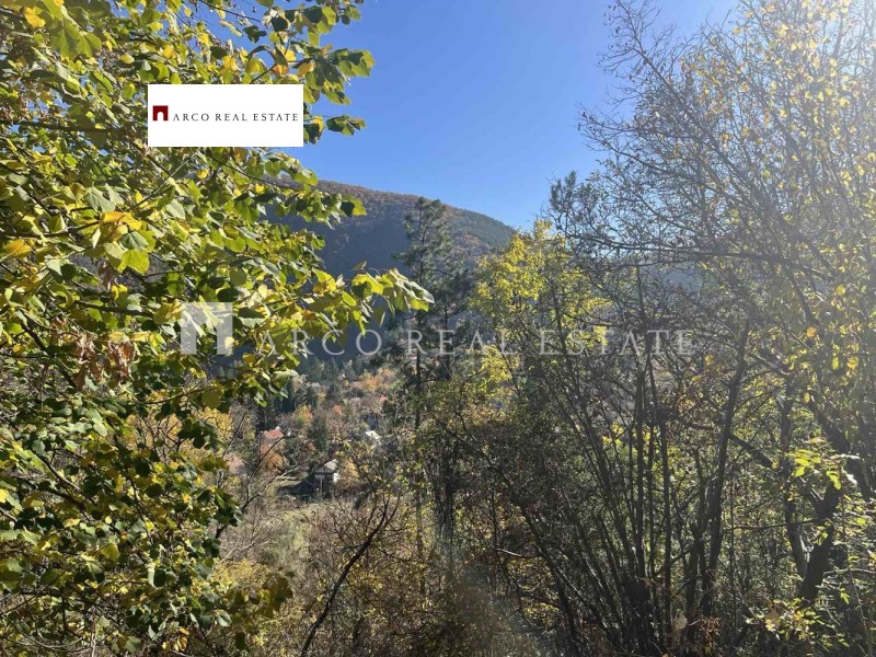 Продава ПАРЦЕЛ, с. Владо Тричков, област София област, снимка 7 - Парцели - 52524905