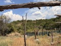 Продава КЪЩА, с. Драгодан, област Кюстендил, снимка 2