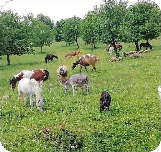 ������� ���� | Imot.bg � ����������� 5