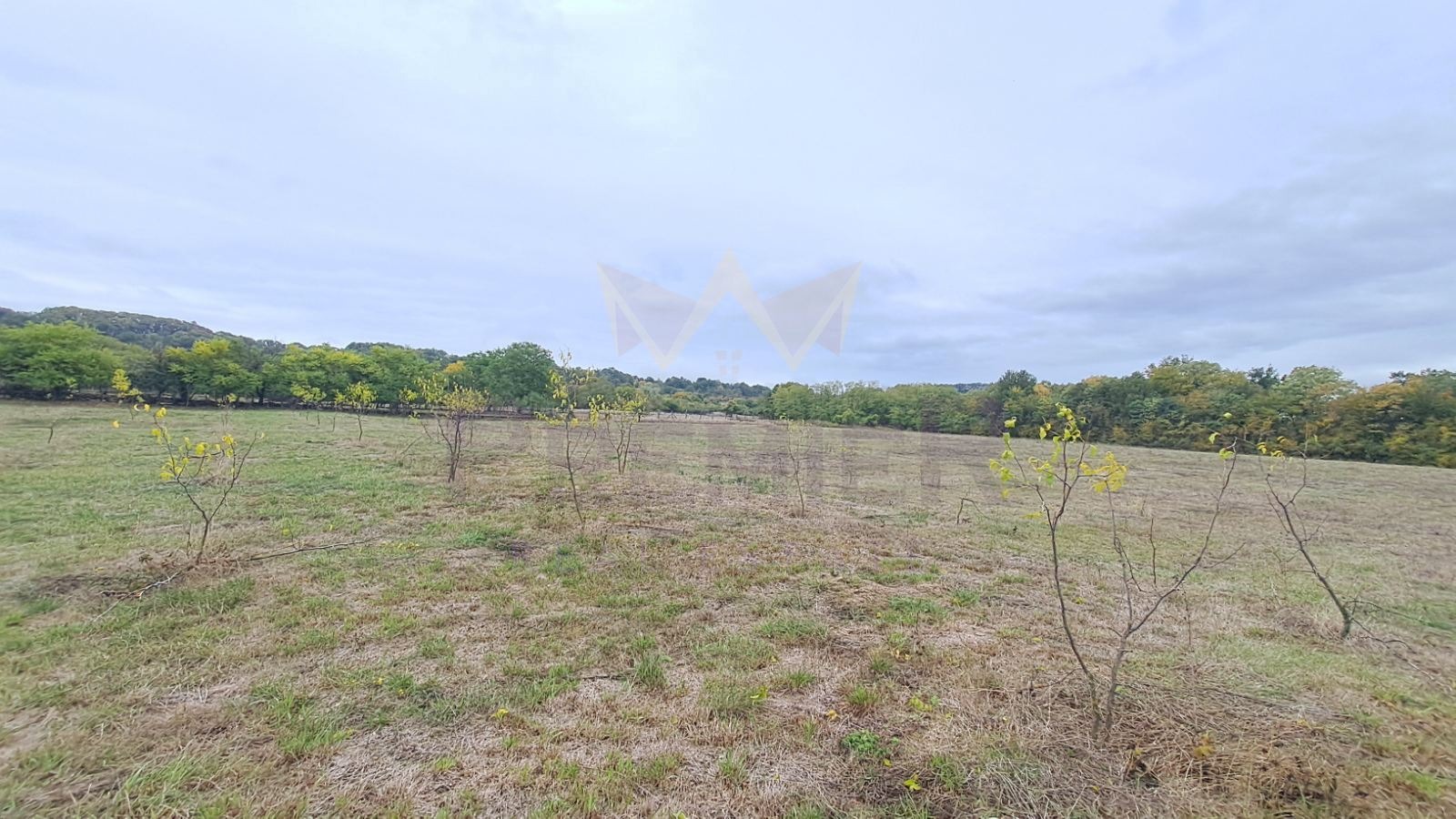 ������� ���� | Imot.bg � ����������� 13