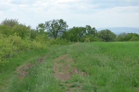 Cselekmény Gorna banja, Sofia 1