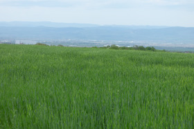 Cselekmény Gorna banja, Sofia 3