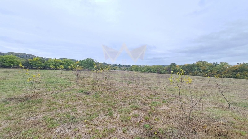 Продава КЪЩА, с. Китен, област Варна, снимка 12 - Къщи - 53186764