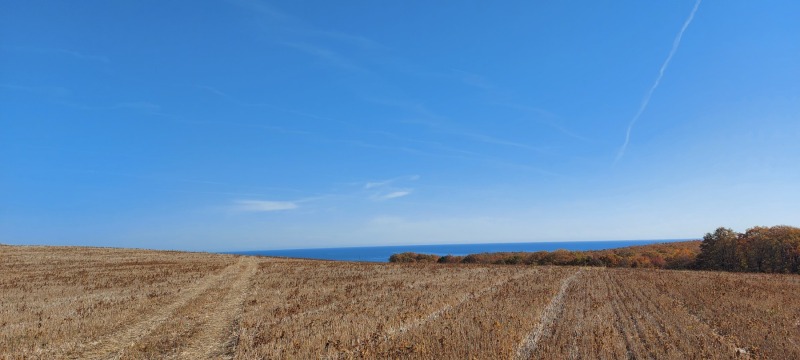 Te koop  Land regio Boergas , Obzor , 3.2 dka | 45412066 - afbeelding [2]