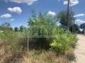 Продава ПАРЦЕЛ, с. Соколово, област Добрич, снимка 1
