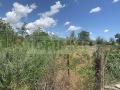Продава ПАРЦЕЛ, с. Соколово, област Добрич, снимка 3