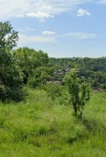 Продава  Парцел област Русе , с. Червен , 3307 кв.м | 30477950 - изображение [2]