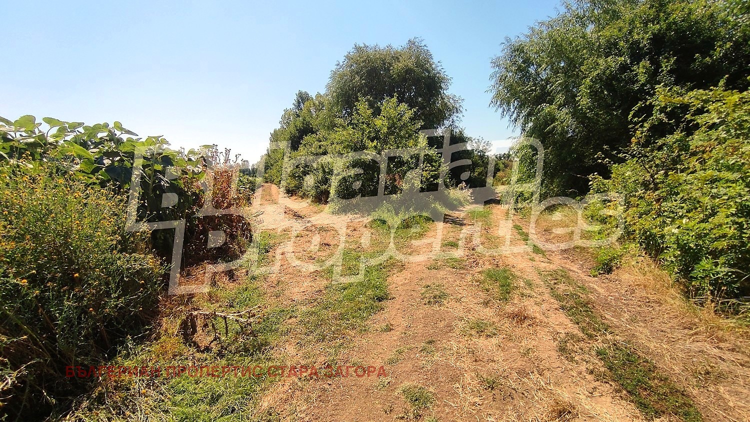 ������� ������ | Imot.bg � ����������� 2