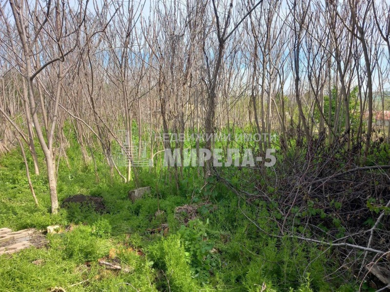 In vendita  Casa regione Ruse , Tsenovo , 70 mq | 70892851 - Immagine [8]