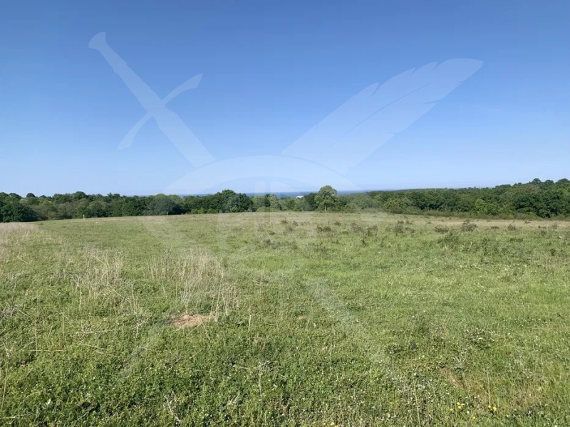 Продава ПАРЦЕЛ, област Бургас, гр. Царево • 62000 € • 45110995 — Holmes.bg
