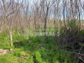 Продава КЪЩА, област Русе, с. Ценово • 15000 лв. • 29010803 — Holmes.bg