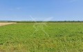 Продава ПАРЦЕЛ, област Пловдив, с. Борец • 24999 € / 48893.79 лв. • 62150602 1