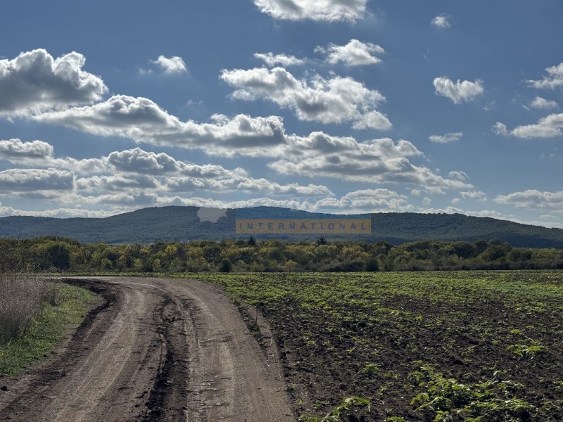 Na prodej  Spiknutí oblast Burgas , Černomorec , 3978 m2 | 29919626 - obraz [8]