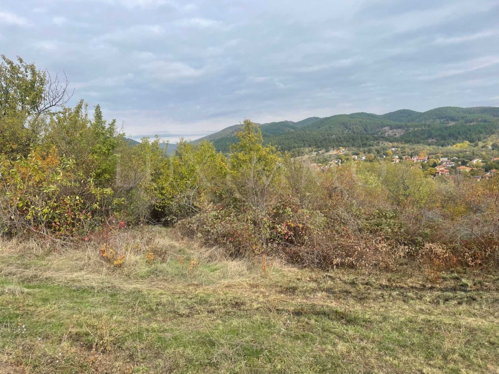 Продава ПАРЦЕЛ, гр. София, с. Кътина, снимка 2 - Парцели - 53248407