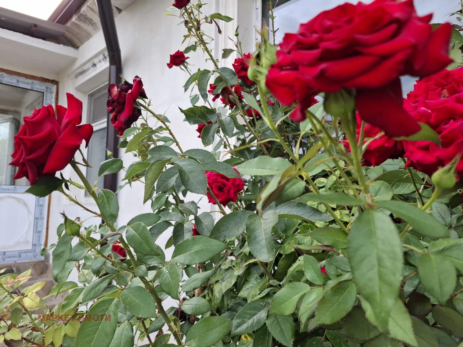 ������� ���� | Imot.bg � ����������� 1
