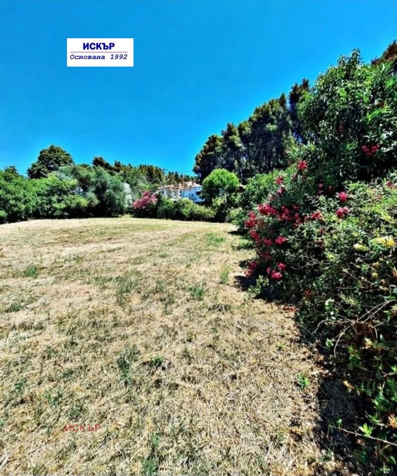 Продава ПАРЦЕЛ, Извън страната, област Извън страната, снимка 4 - Парцели - 53372294