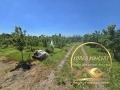 Продава ПАРЦЕЛ, с. Бял извор, област Стара Загора, снимка 1