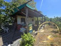 Продава ПАРЦЕЛ, с. Бял извор, област Стара Загора, снимка 3