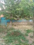 Продава КЪЩА, област Русе, гр. Бяла • 17000 € • 56567924 — Holmes.bg