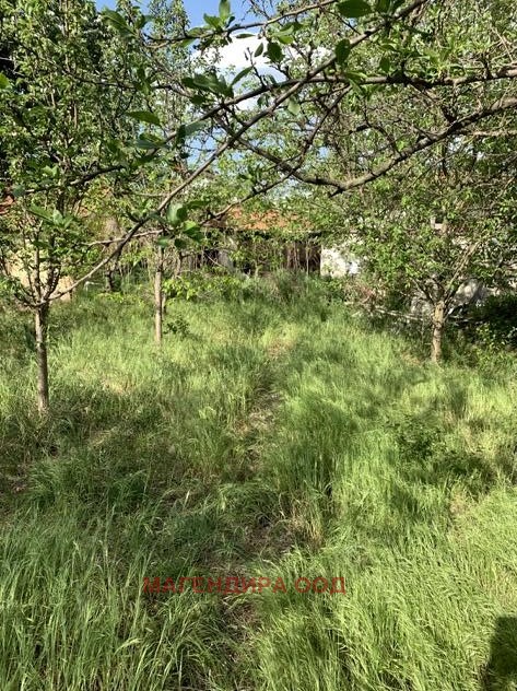 ������� ���� | Imot.bg � ����������� 8