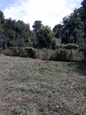 ������� ���� | Imot.bg � ����� ������ 8