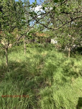 ������� ���� | Imot.bg � ����� ������ 8