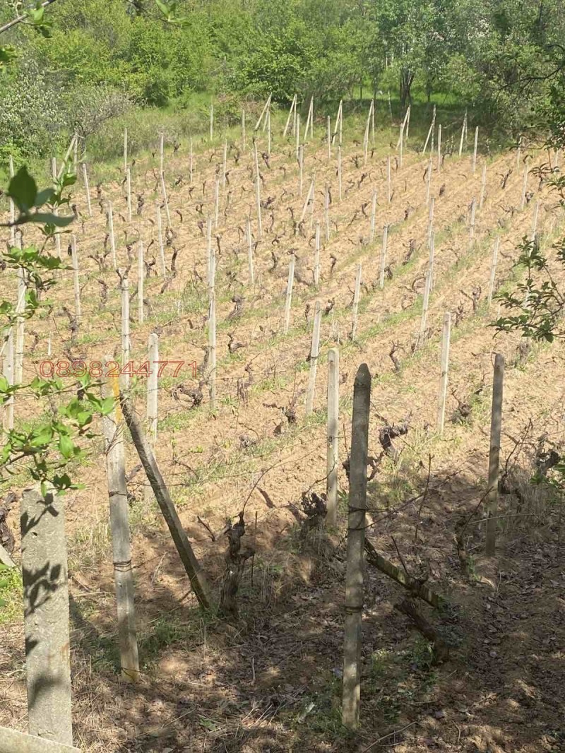 Продава ВИЛА, гр. Харманли, област Хасково, снимка 10 - Вили - 52784714