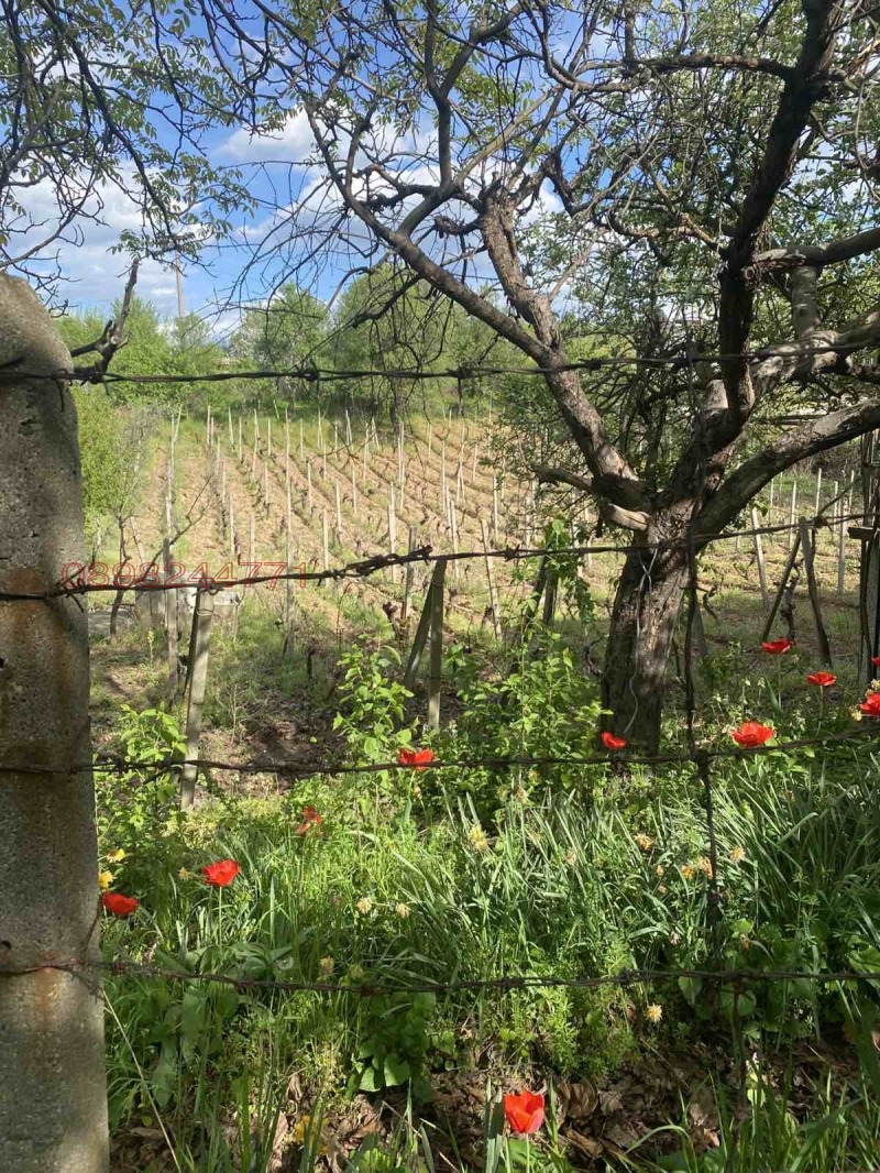 Продава ВИЛА, гр. Харманли, област Хасково, снимка 8 - Вили - 52784714