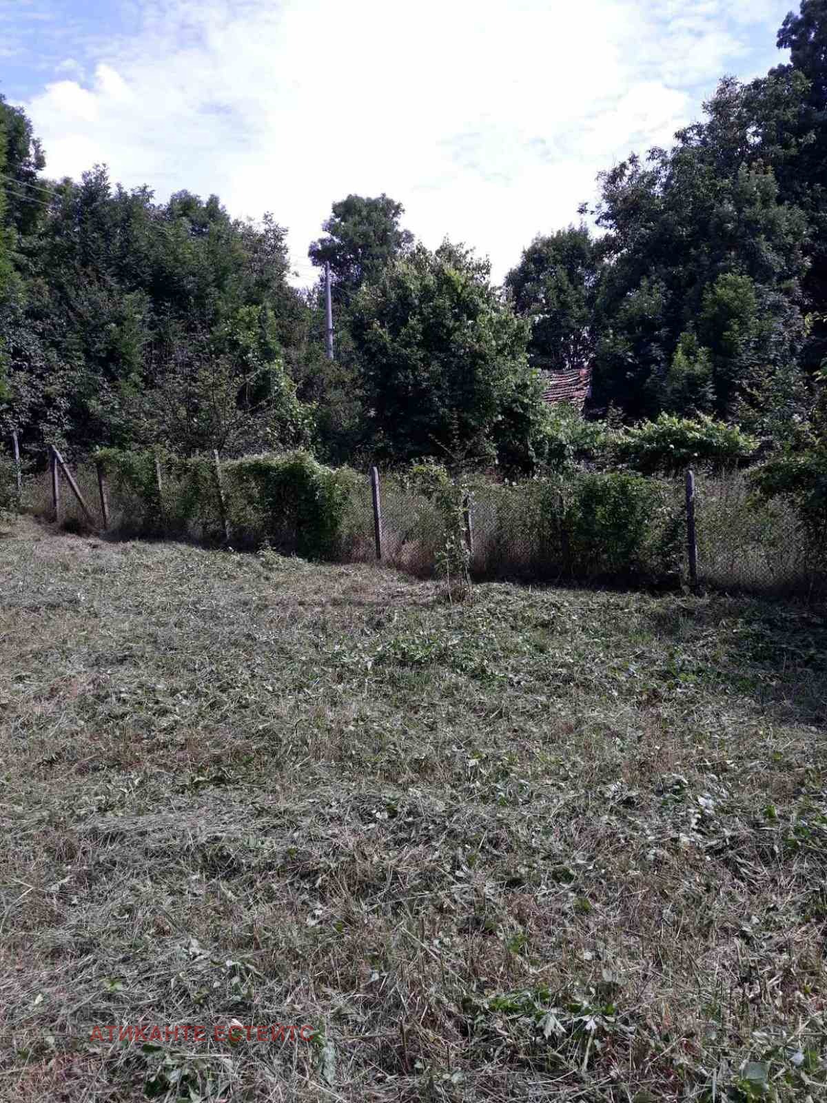 Продава КЪЩА, с. Мала Раковица, област София област, снимка 8 - Къщи - 54229045