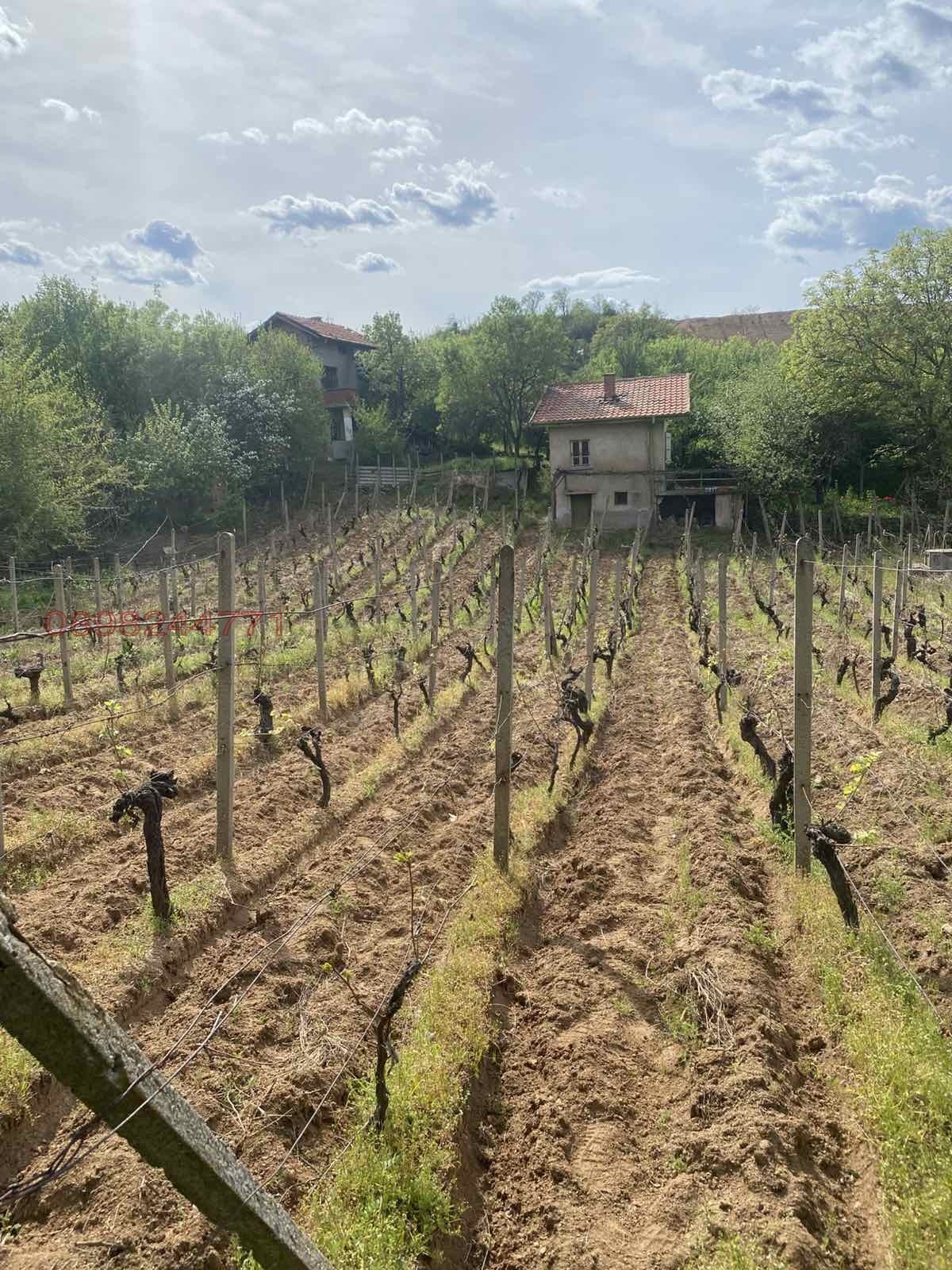 Продава ВИЛА, гр. Харманли, област Хасково, снимка 2 - Вили - 53752388